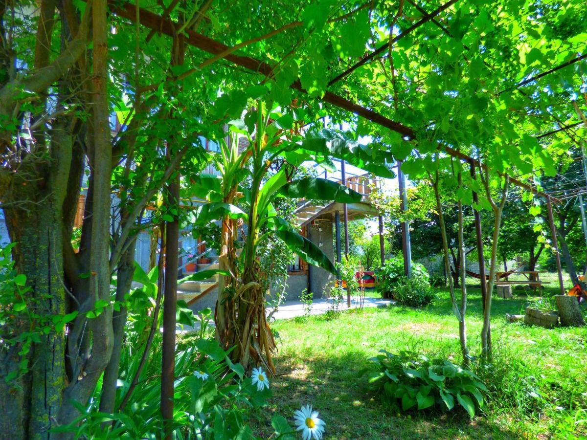 Veli Guest House • Საოჯახო Სასტუმრო Ველი Zemo Alvani Exterior photo